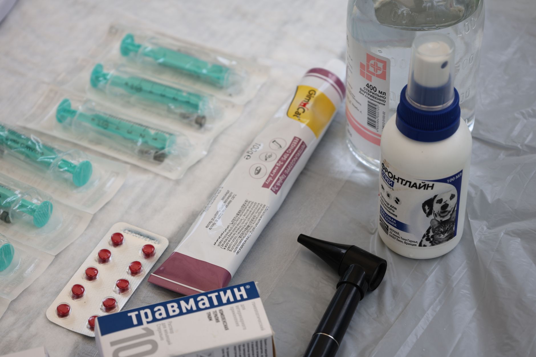 Medical Clinic website preview